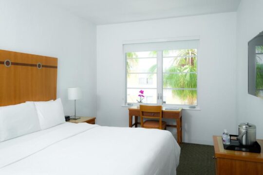 A clean, bright hotel room features a made bed with white linens, a wooden headboard, and a desk with a chair near a large window overlooking palm trees.