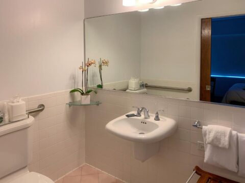A clean, well-lit hotel bathroom features a white pedestal sink with chrome fixtures, a large mirror reflecting the room, and a toilet with a tissue dispenser. Orchids sit on a glass shelf above the sink.
