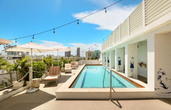 Rooftop pool with lounge chairs and umbrellas, overlooking a city skyline under a bright blue sky. String lights add a festive touch to the sunny pool deck.