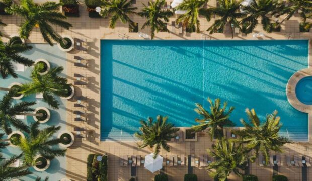Aerial view of a resort swimming pool surrounded by palm trees and lounge chairs, with bright blue water reflecting sunlight.