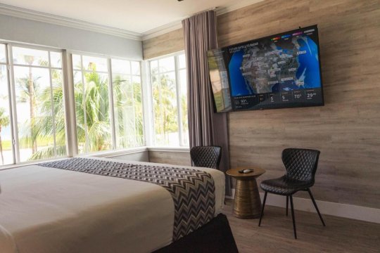 Modern hotel bedroom with a large bed, tropical palm tree views through bay windows, and a wall-mounted TV displaying a weather map with "FUTURE SATELLITE/RADAR" text.