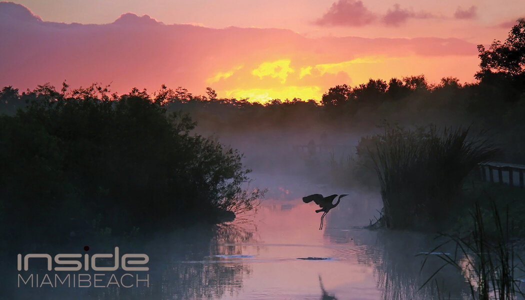 Venturing into the untouched beauty of Florida's Everglades