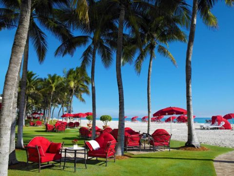 Luxurious red lounge chairs and umbrellas on a manicured lawn overlooking a pristine white sand beach and turquoise ocean, framed by tall palm trees under a clear blue sky.