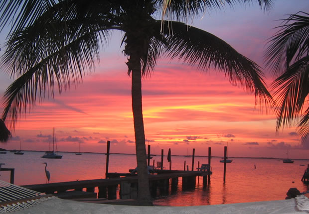 Best Key Largo Resorts & Must-Do