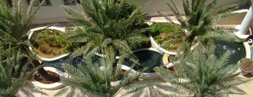 miami-beach-lowes-hotel