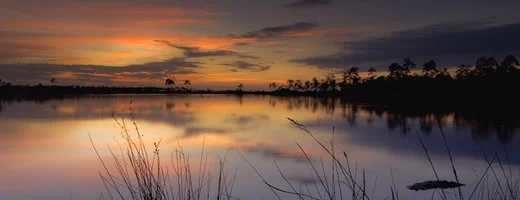 Everglades-National-Park-sunset
