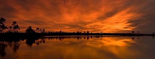 Everglades-National-Park