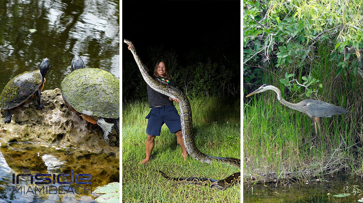 everglades park florida