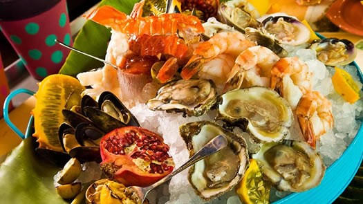 amazing Oysters and clams from miami beach