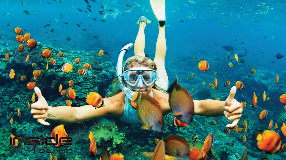 Key Largo Undersea: Girl and Rainbow Fish in Harmony