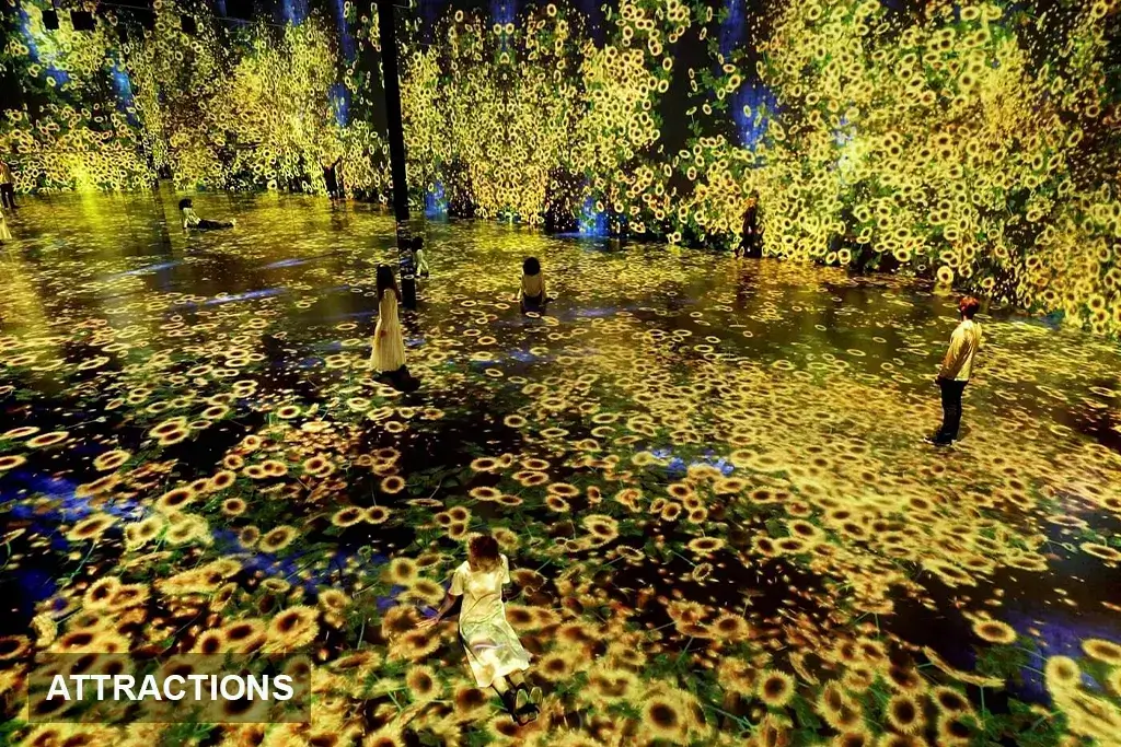 immersive art experience in miami beach